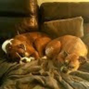 Meet your Posher, Meghan